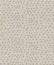 beige rug